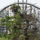 Image for article titled The Trashed Remains of Abandoned Disney Projects